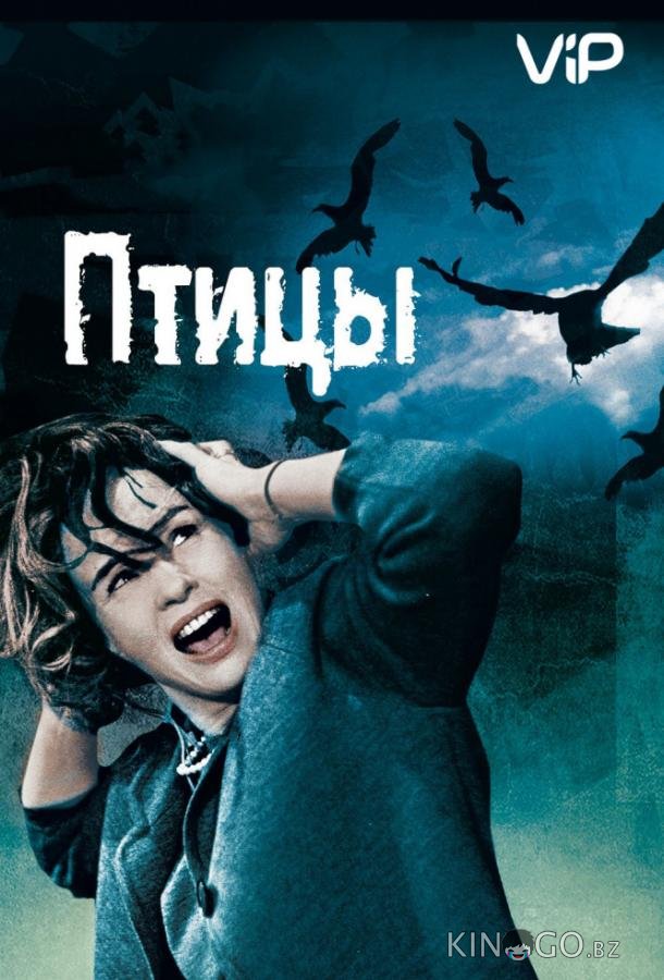 Птицы 