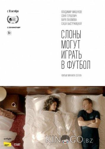 Слоны могут играть в футбол 