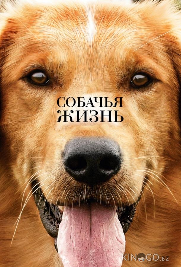 Собачья жизнь 