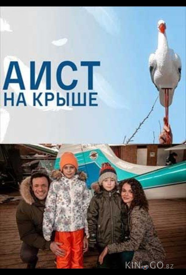 Аист на крыше 1 4