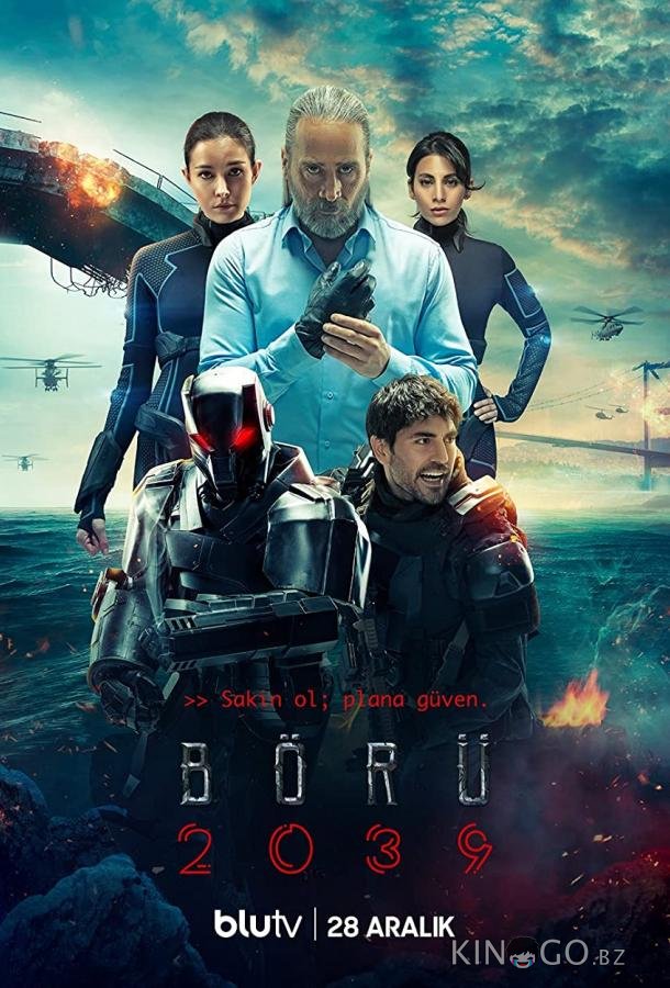 Волк 2039 1 6