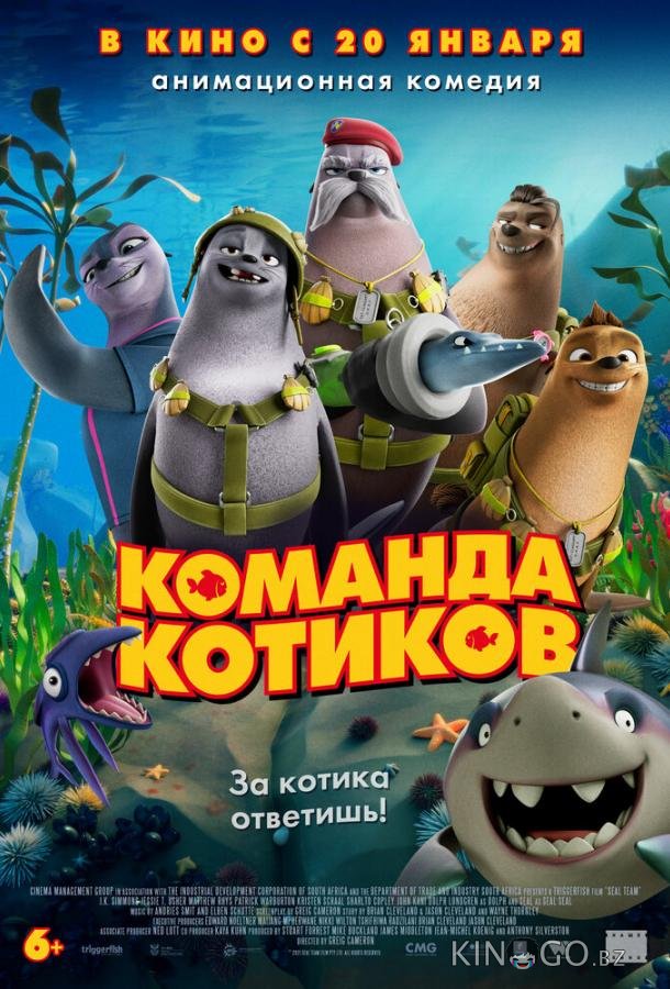 Команда котиков 