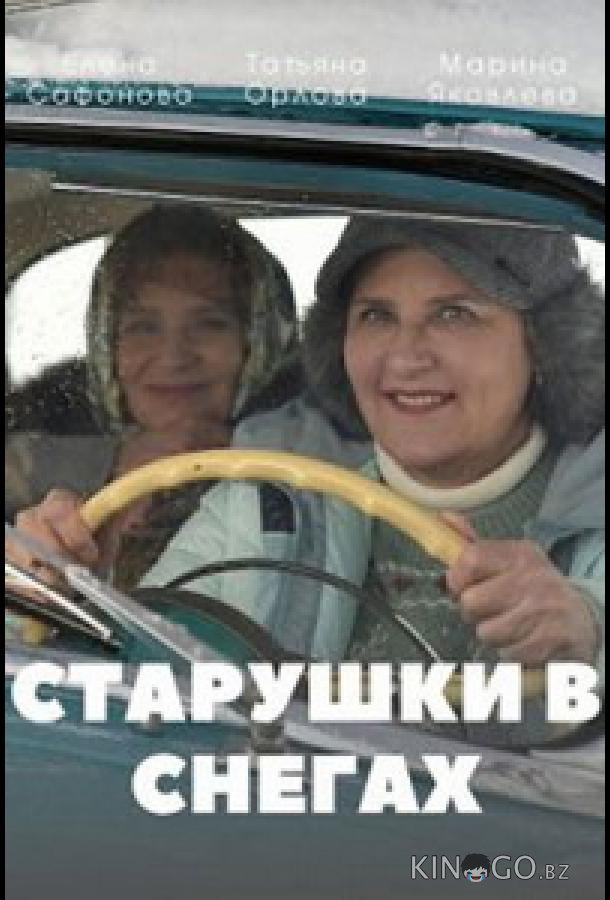 Старушки в снегах 