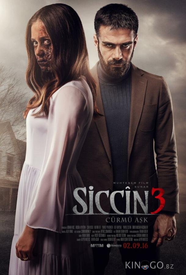 Сиджин 3 
