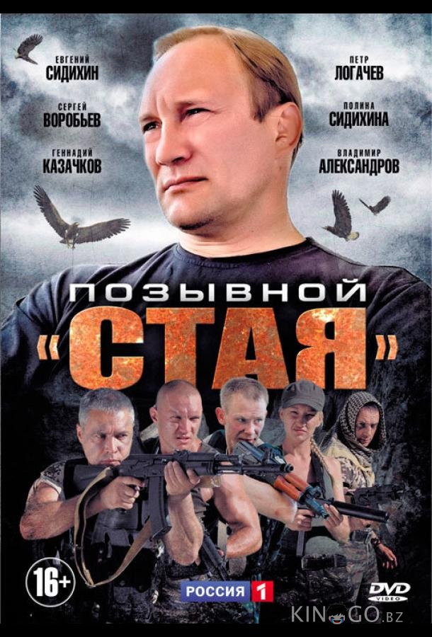 Позывной Стая 2 11-12