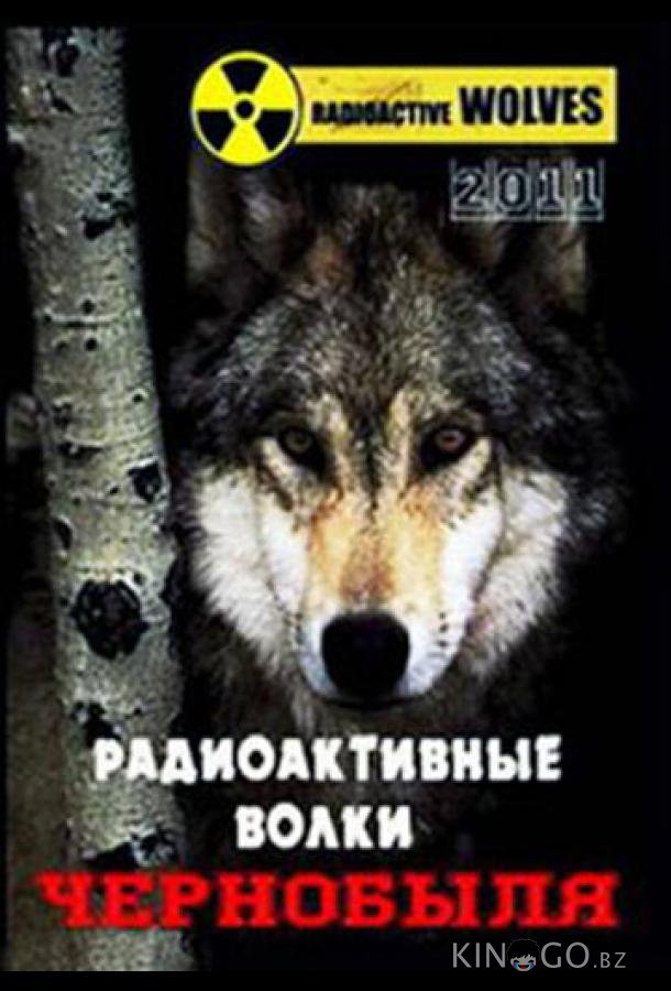 Радиоактивные волки Чернобыля 