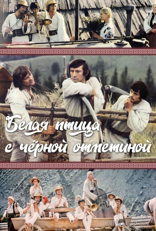 Белая птица с черной отметиной 