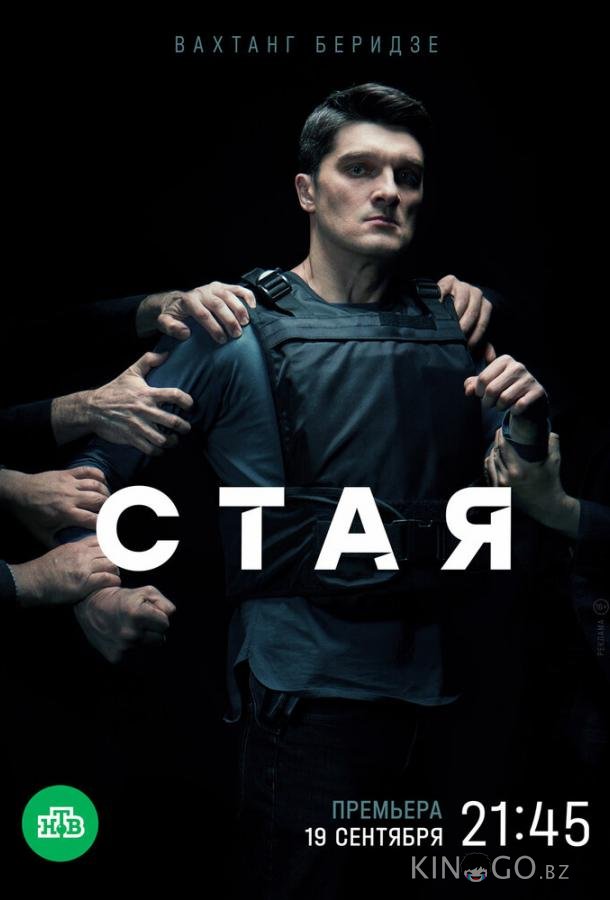 Стая 1 20