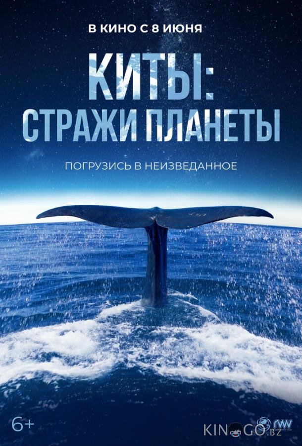 Киты: Стражи планеты 