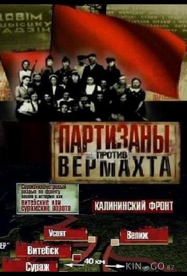 Партизаны против Вермахта 1 8