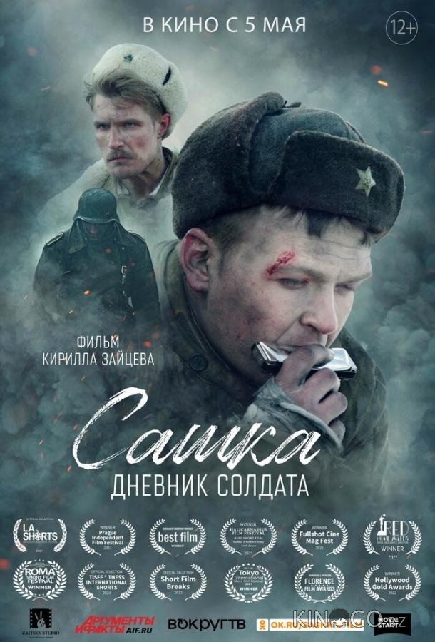 Сашка. Дневник солдата 