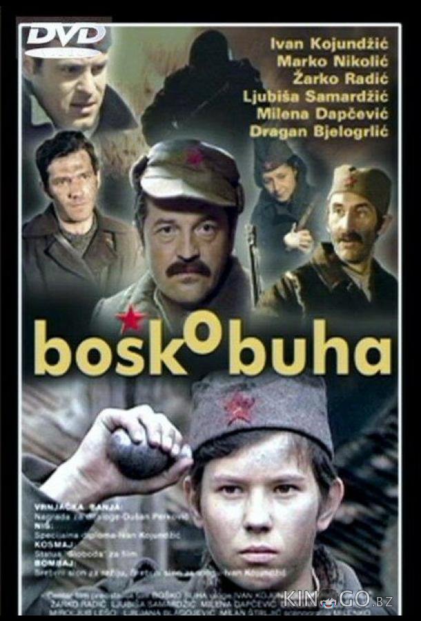 Бошко Буха 