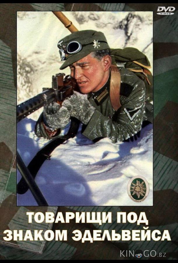 Товарищи под знаком Эдельвейса 