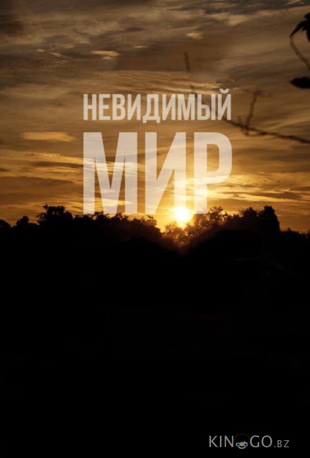 Невидимый мир 