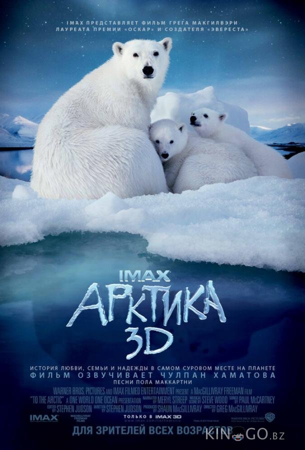 Арктика 