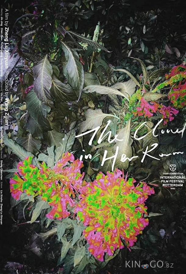 Облако в её комнате 