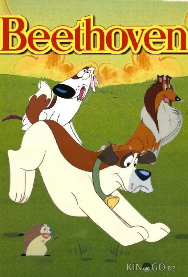 Бетховен 1 13
