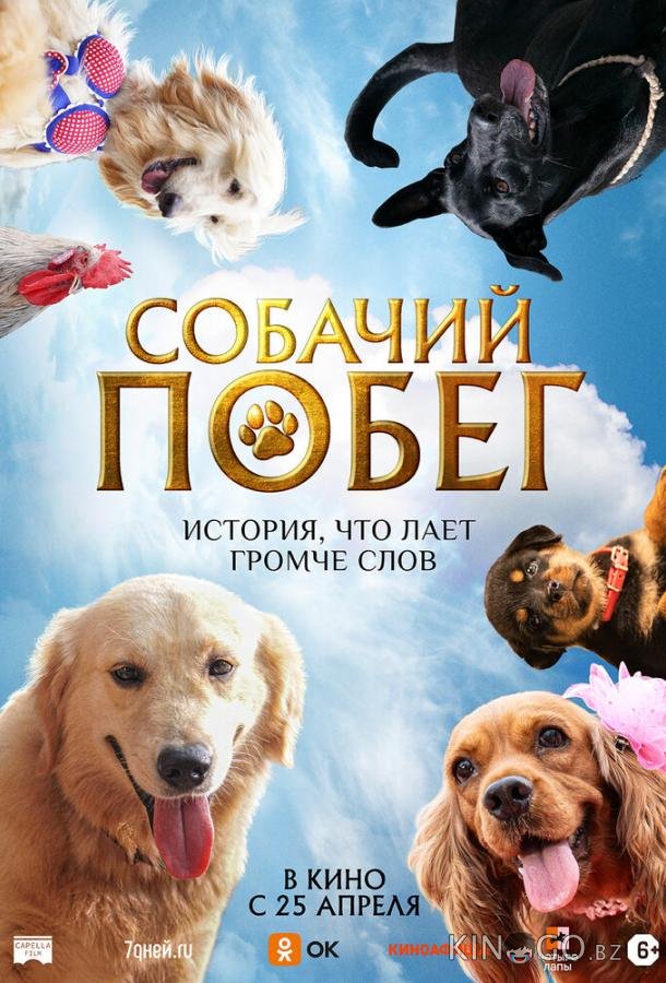 Собачий побег 