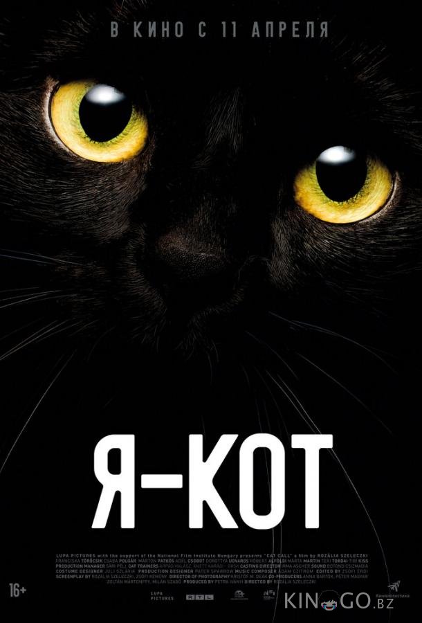 Я — кот 