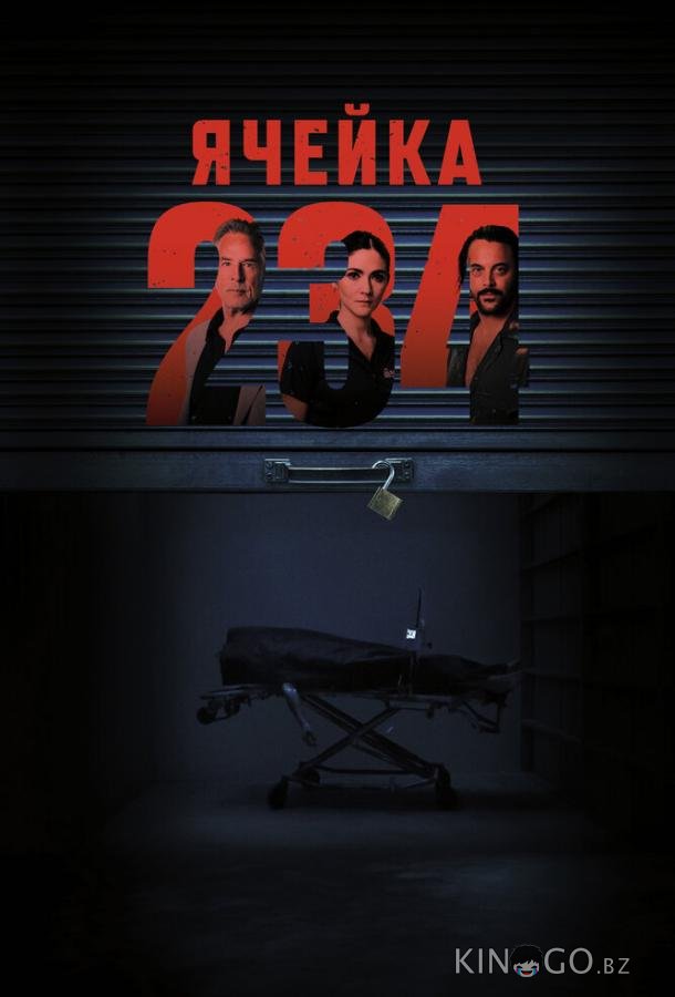 Ячейка 234 