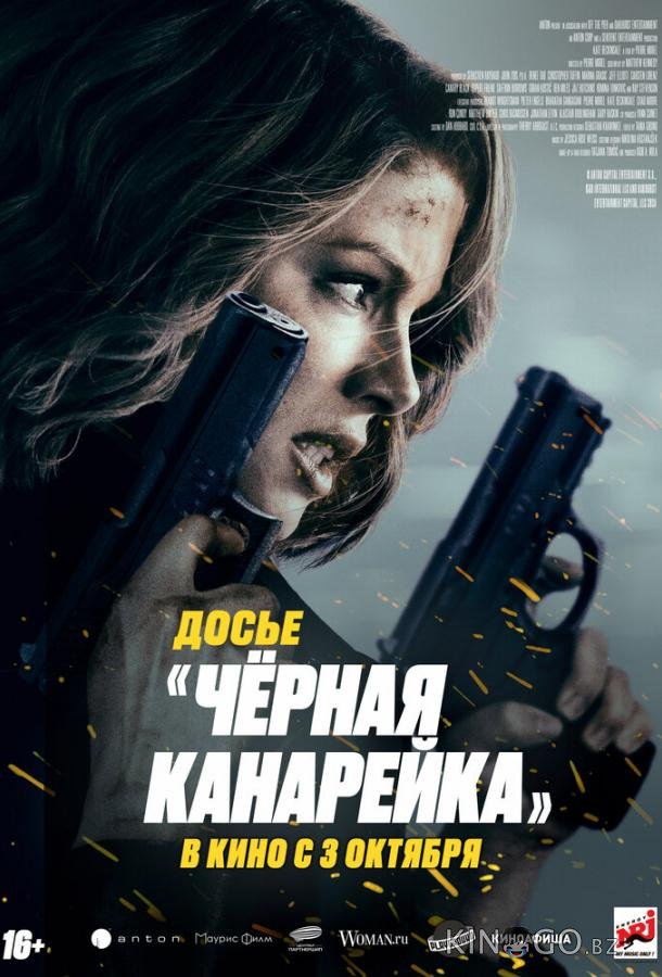 Досье «Чёрная канарейка» 