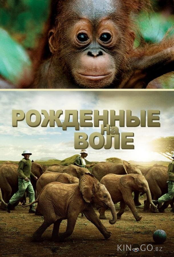 Рожденные на воле 