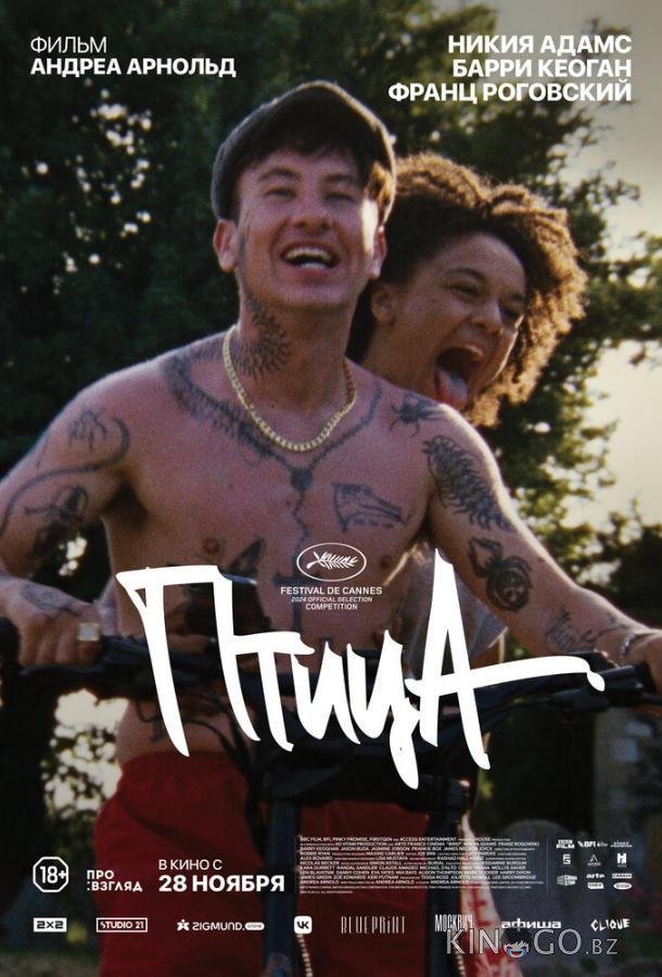Птица 