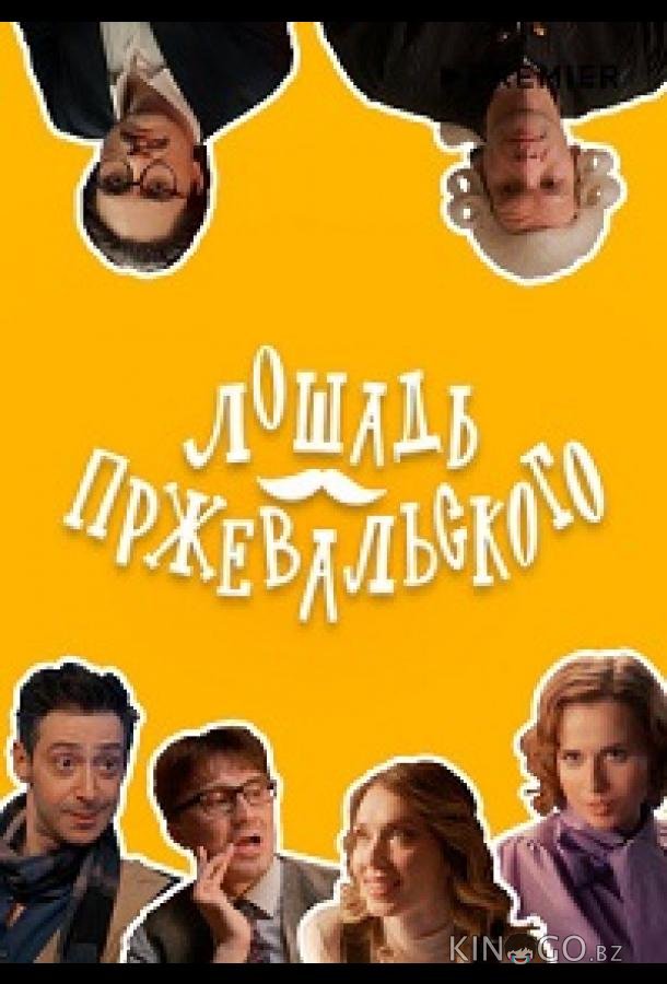 Лошадь Пржевальского 1 8