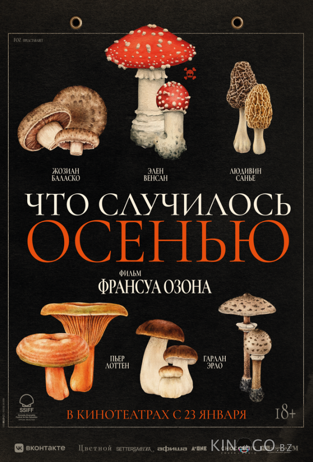 Что случилось осенью 