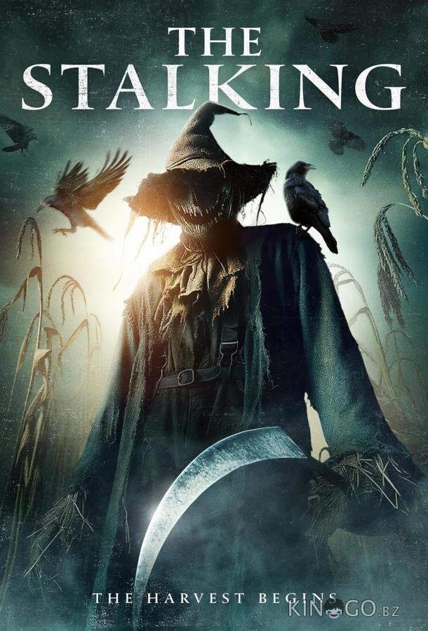Преследование 