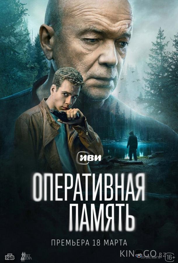 Оперативная память 1 12