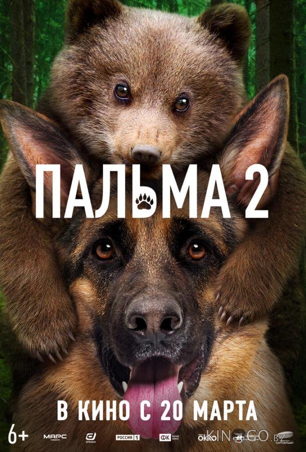 Пальма 2 