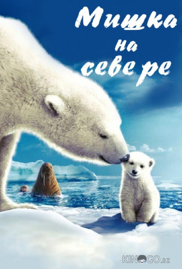 Мишка на Севере 