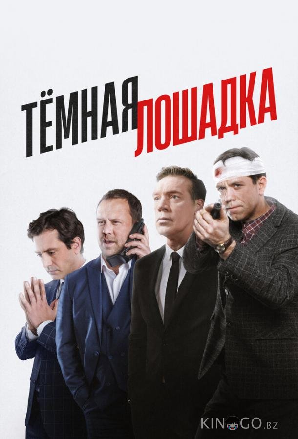Тёмная лошадка 1 12