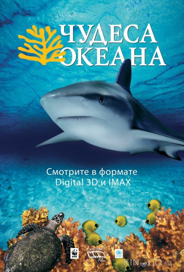 Чудеса океана 3D 