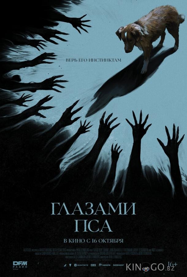 Глазами пса 