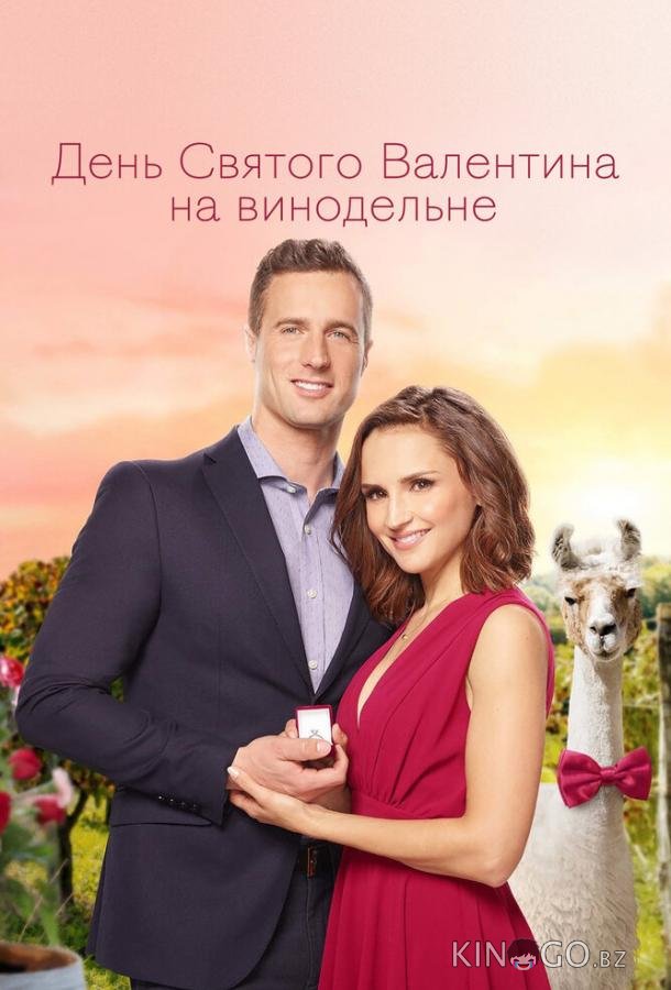 День Святого Валентина на винодельне 