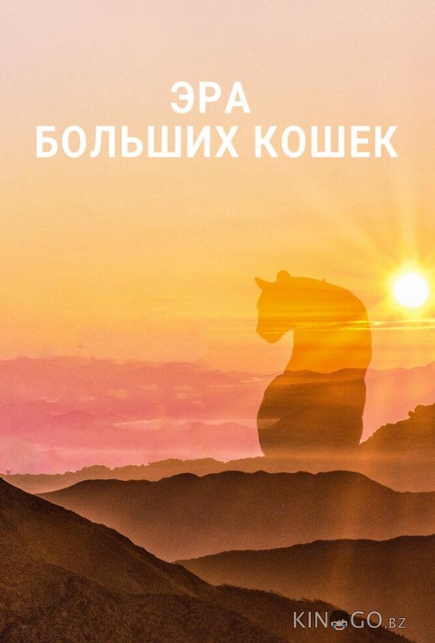 Эра больших кошек 1 3