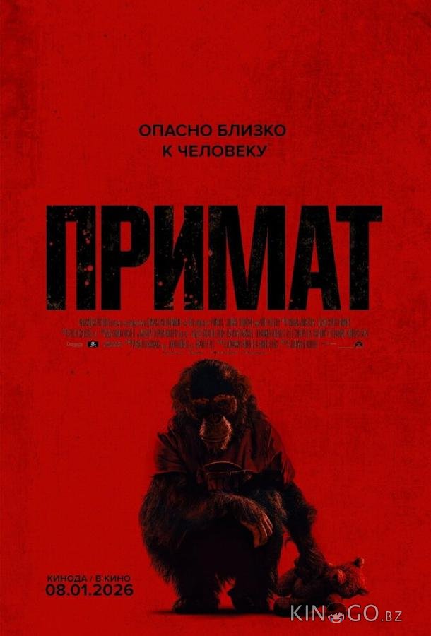 Примат 