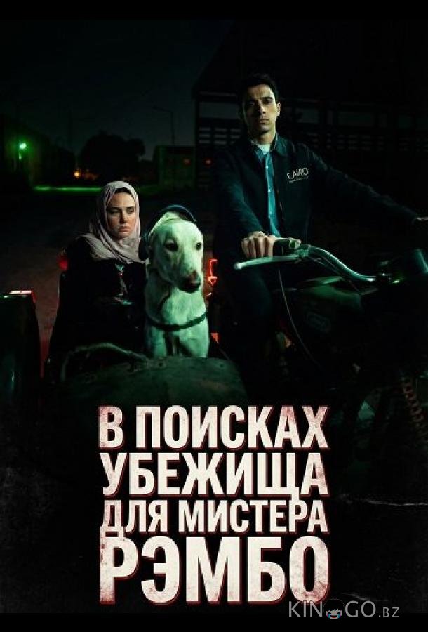 В поисках убежища для мистера Рэмбо 