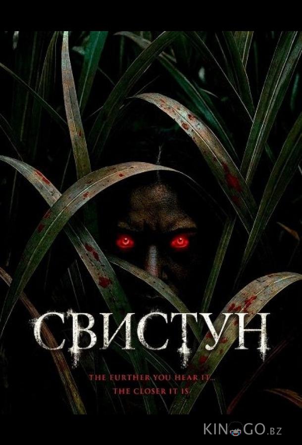 Свистун 