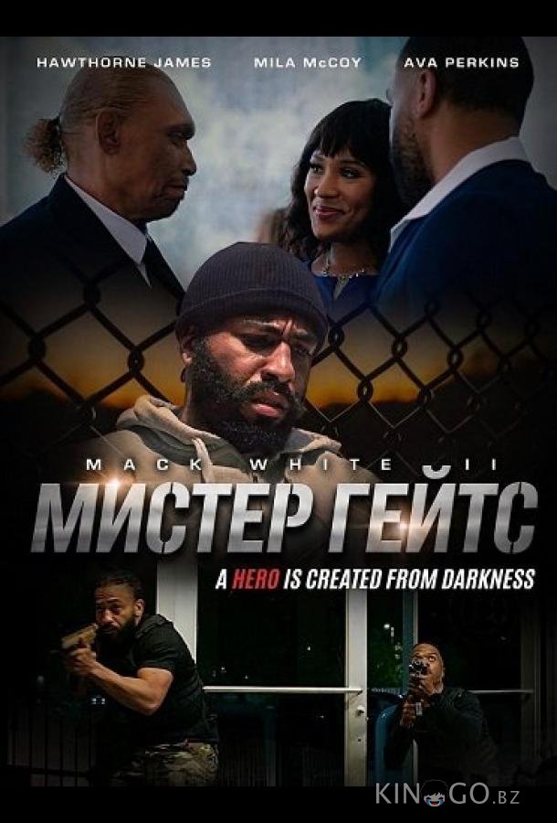 Мистер Гейтс 