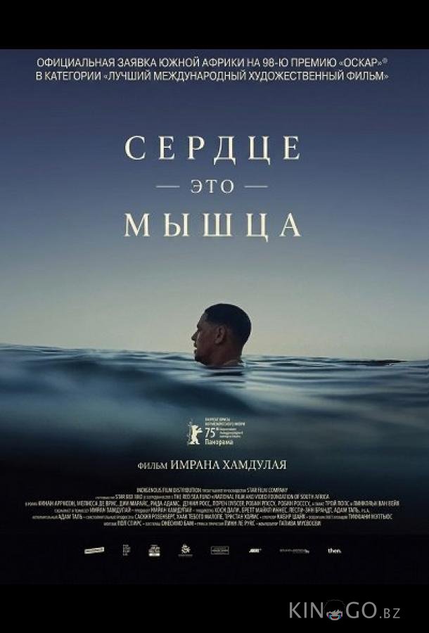 Сердце — это мышца 