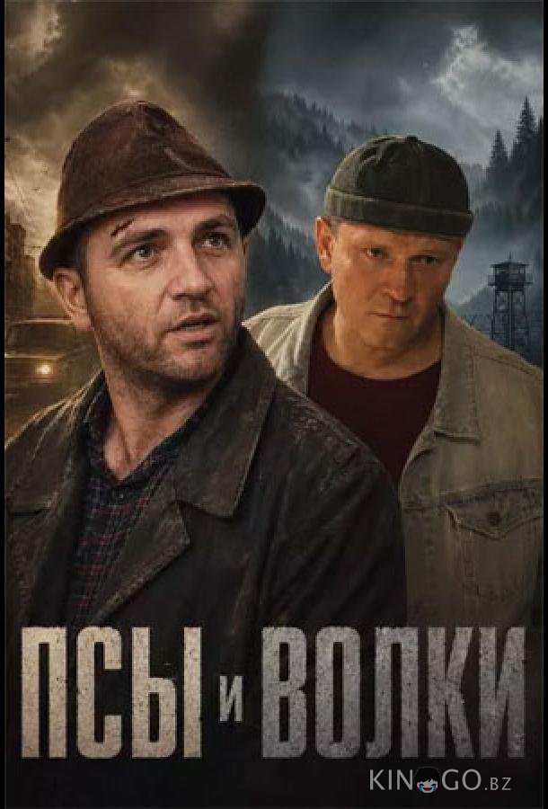 Псы и волки 1 10