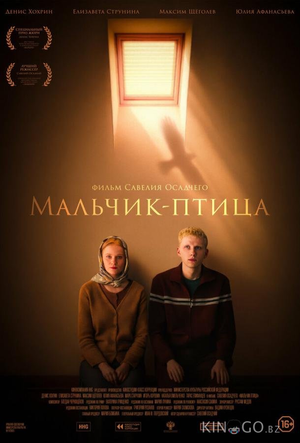 Мальчик-птица 