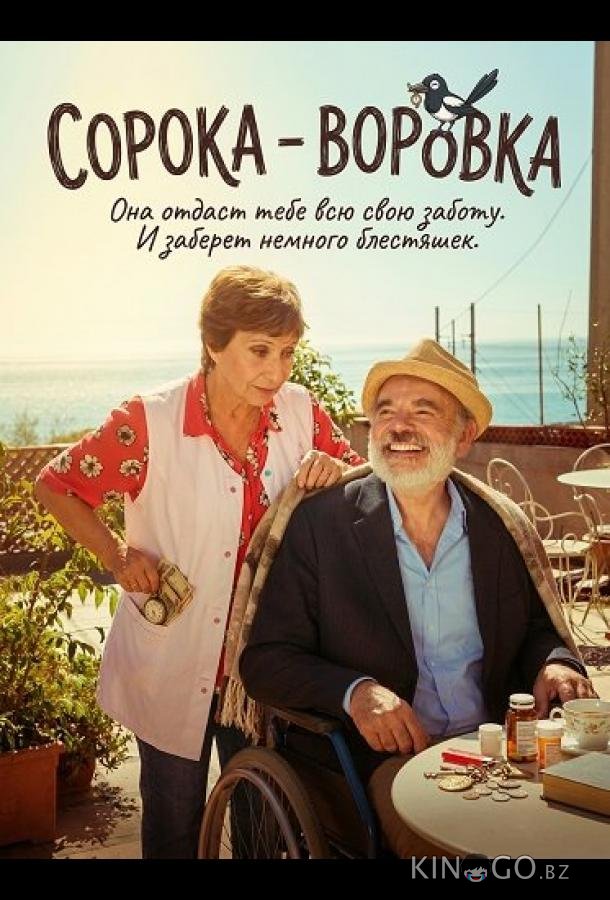 Сорока - воровка 