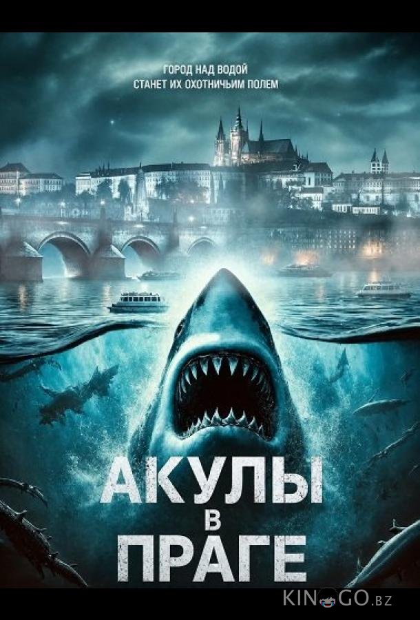 Акулы в Праге 