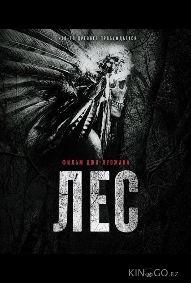 Лес 