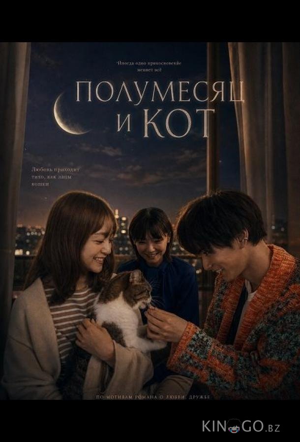 Полумесяц и кот 