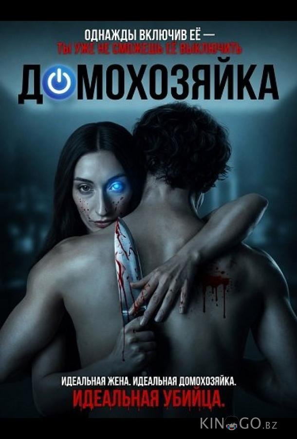 Домохозяйка 